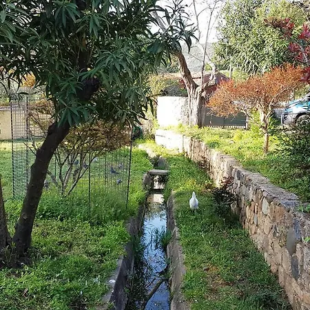 فيلة Clos San Michele 2023 - La Tonnelle