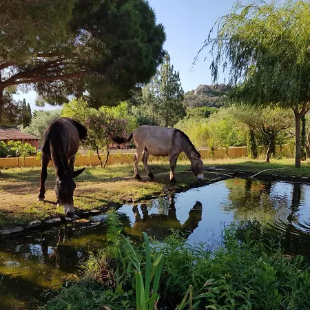فيلة Clos San Michele 2023 - La Tonnelle